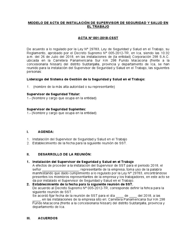 Modelo de Acta de Instalación de Supervisor de Seguridad y Salud en El ...