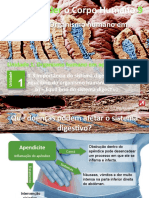 CN9-6_equilibrio_digestivo