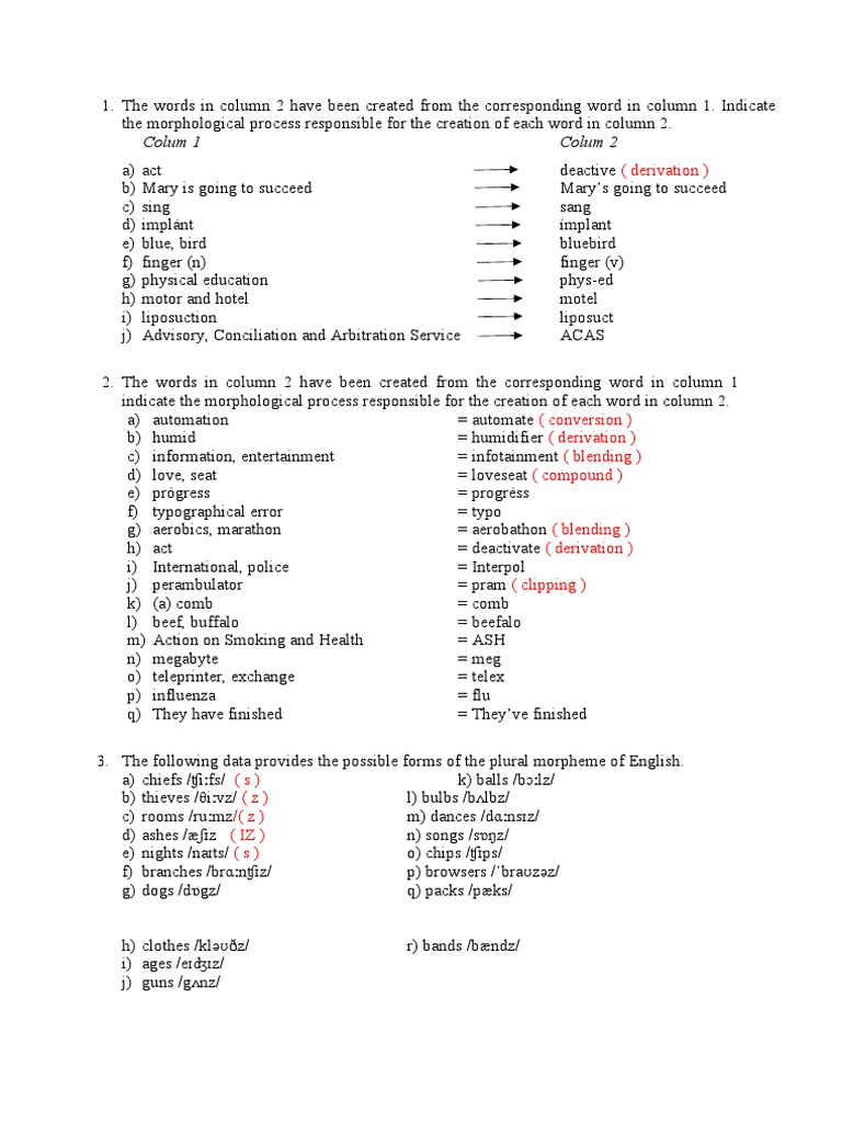 Assignment reviewing word formation pdf linguistics grammar