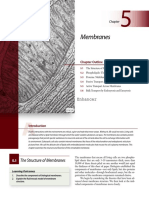 Membranes: Apago PDF Enhancer