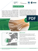 Forest Monitoring in Portugal: What It Is About