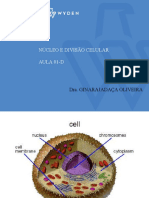 Aula 01-d Núcleo