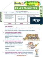 Origen de Los Alimentos para Segundo Grado de Primaria