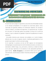 Download Produccion y Evaluacion Toxicologioca de Bacillus Thuringiensis by Yvan Pineda SN56593770 doc pdf