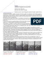 Displasia de Desenvolvimento Da Anca - Protocolo de Rasteio Clínico Combinado e Ecografia Dos Casos em Risco - Experiência de 14 Anos. Nuno Craveiro Lopes, Carolina Escalda, Carlo Villacreses