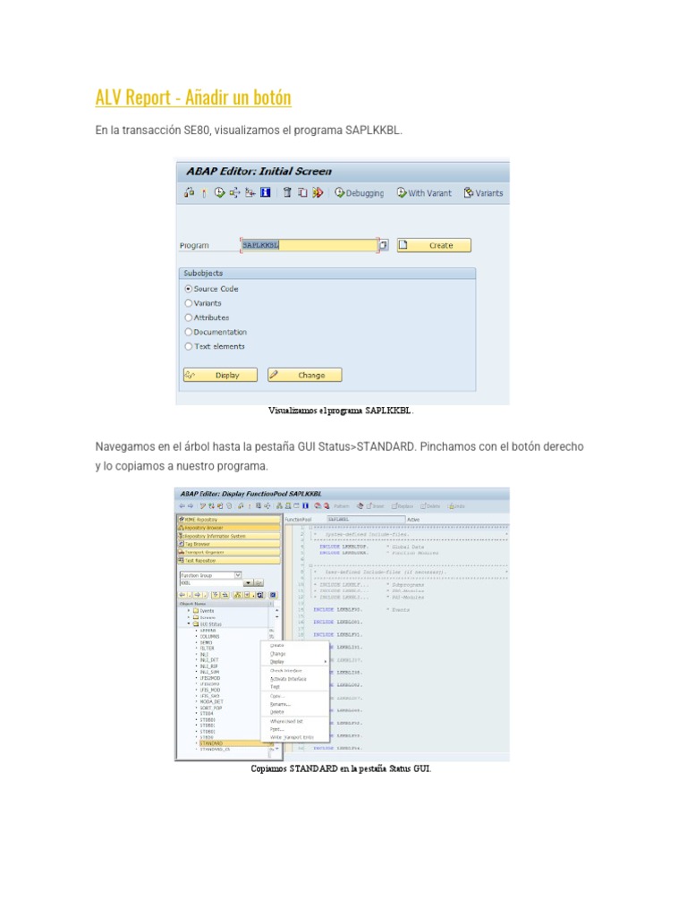 Añadir Botón en Reporte ALV SAP | PDF | Informática | Software