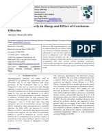 Chlorpyrifos Toxicity in Sheep and Effect of Corchorus Olitorius