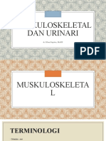 MUSKULOSKELETAL DAN URINARI