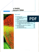 7 - Rola białek wiążących DNA