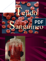 Tejido Sanguíneo