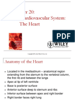 CH 20 CVS - Physiology and Anatomy Notes