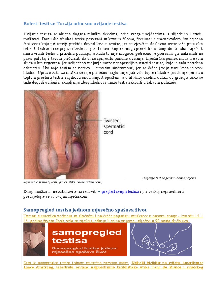 sportex angelruten Sportex Illusion (Casting) » HechtundBarsch.de main image 1