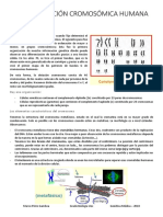 Tema 1, 2, 3 Genética Médica