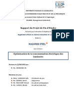 Rapport Pfe Ms VF