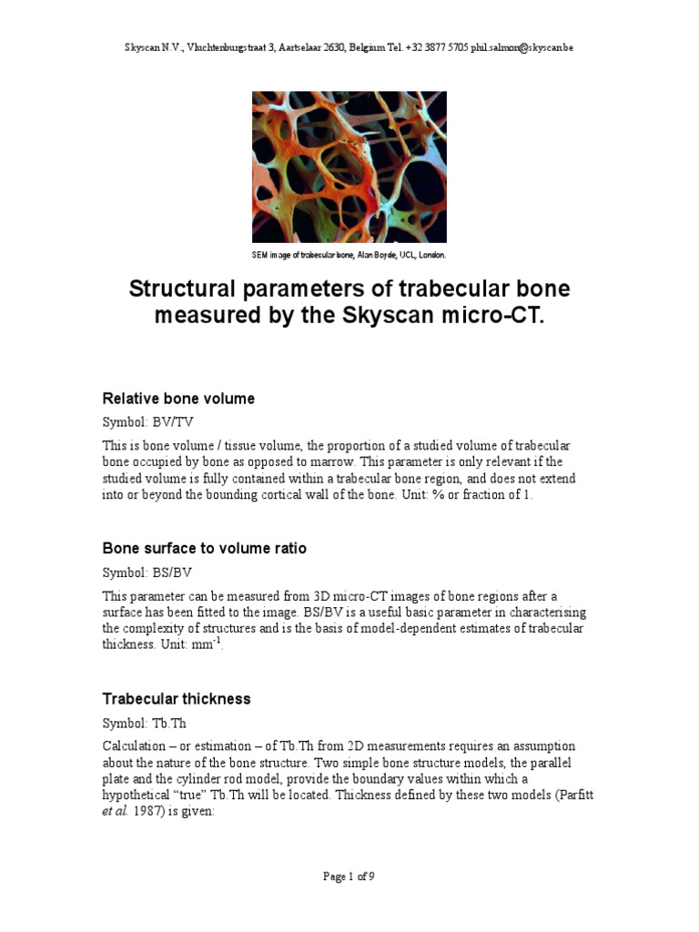 Structural Parameters of Trabecular Bone Measured by Skyscan Micro-CT ...
