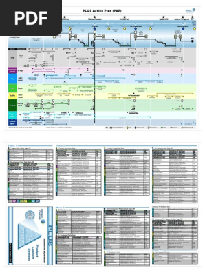 PLUS Action Plan