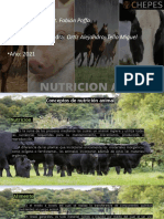 Nutricion Animal 1