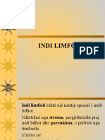 Indi Limfoid
