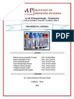 Informe 06 - Grupo 10 - Fisiopatologia Seminario