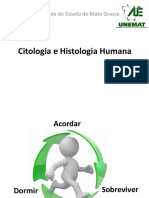 Ciclo celular e divisão celular na Universidade do Estado de Mato Grosso