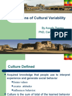 Dimension of Cultural Variability 
