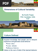 Dimension of Cultural Variability 