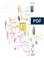 Estructuras del encéfalo humano