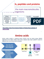 Amino Acids Peptides and Proteins Final