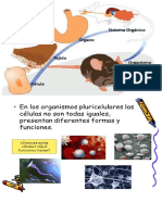 ciencias celulas