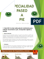 Especialidad Paseo a Pie Compress