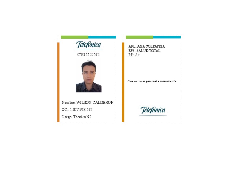 Modelo Carnet Provisional V2 | PDF