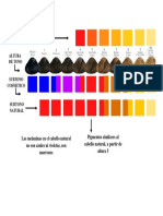 Etapas de Decoloracion