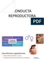 4- Conducta Reproductora