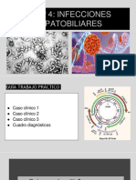 TP 4 - Infecciones Hepatobiliares para Estudiantes