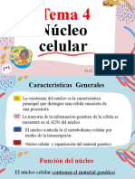 Núcleo celular y sus funciones