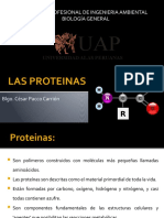 Protein As