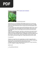 Download rina file by sri f Rahmwati SN56612000 doc pdf
