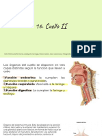 Cuello II