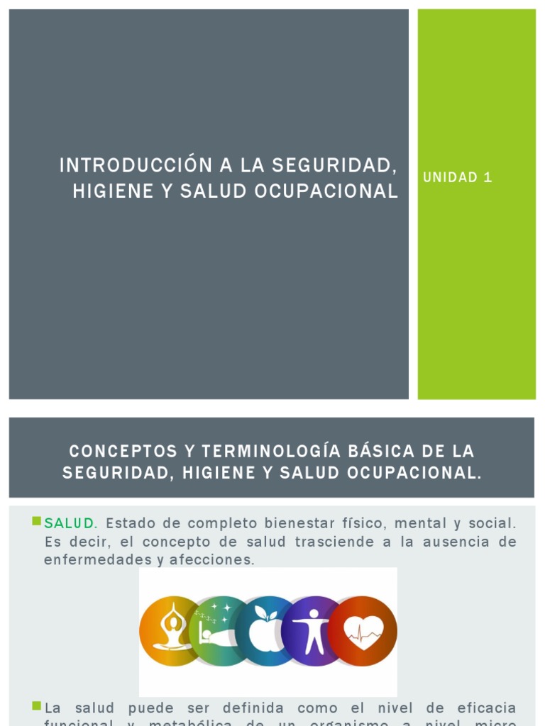 Introducción A La Seguridad Higiene Y Salud Pdf Seguridad Y Salud