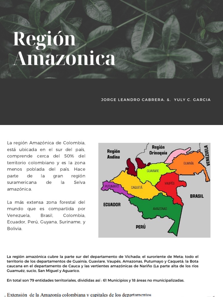Region Amazonica de Colombia | PDF | Selva amazónica