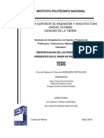 Identificación de Las Problemáticas Presentes en El Riser de Perforación