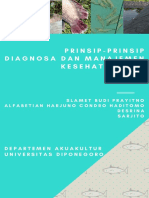 PRINSIP2 DIAGNOSA 20 Juli 2017