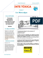 El Meteculpas Modulo 1