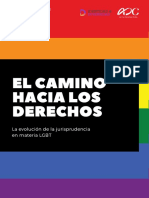 Derechos LGBT Informe Jurisprudencia