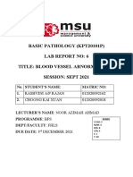 Basic Pathology (Kpt20101P) Lab Report No: 6 Title: Blood Vessel Abnormalities Session: Sept 2021