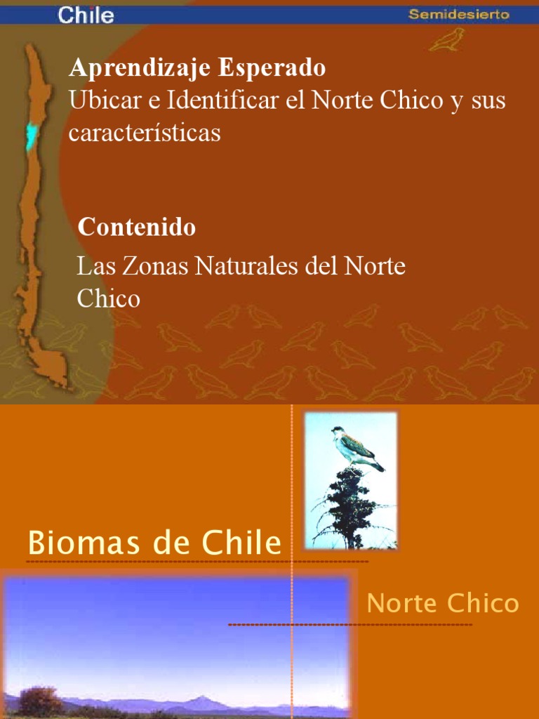Clima y Biomas del Norte Chico de Chile | PDF | Desierto | Ciencias de ...