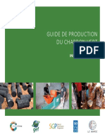 Guide de production du charbon vert_FR (1)
