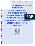 Giselle Valencia Moreno - Apatzinga - Microbiología General - 508 - Actividad 4. Grandes Grupos de Microorganismos.