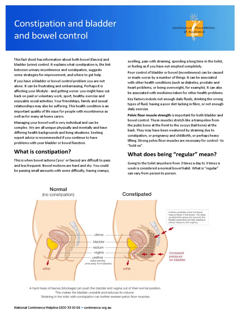 Constipation and Bladder and Bowel Control - Oct 2013 | PDF | Urinary ...