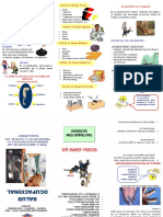 Triptico Que Es Salud Ocupacional (Imprimir)
